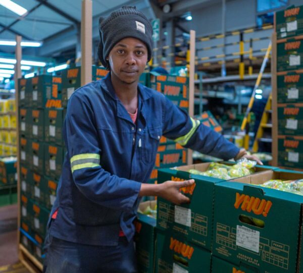 Hard at Work In The Packhouse